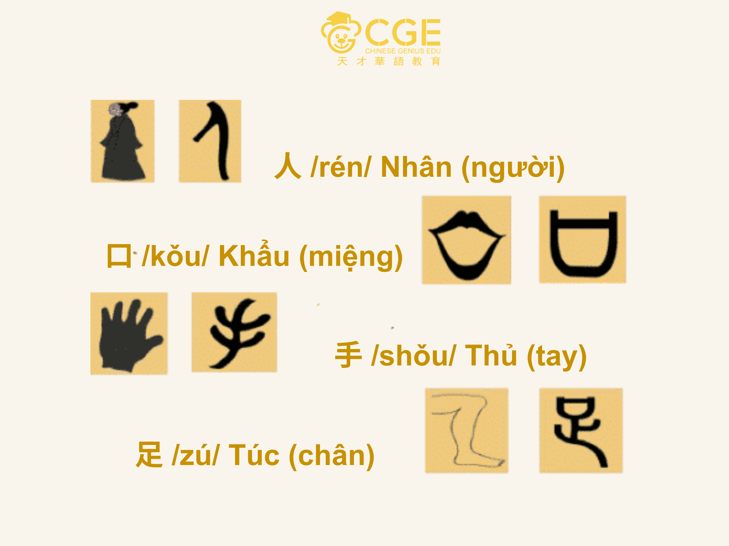 Chữ tượng hình