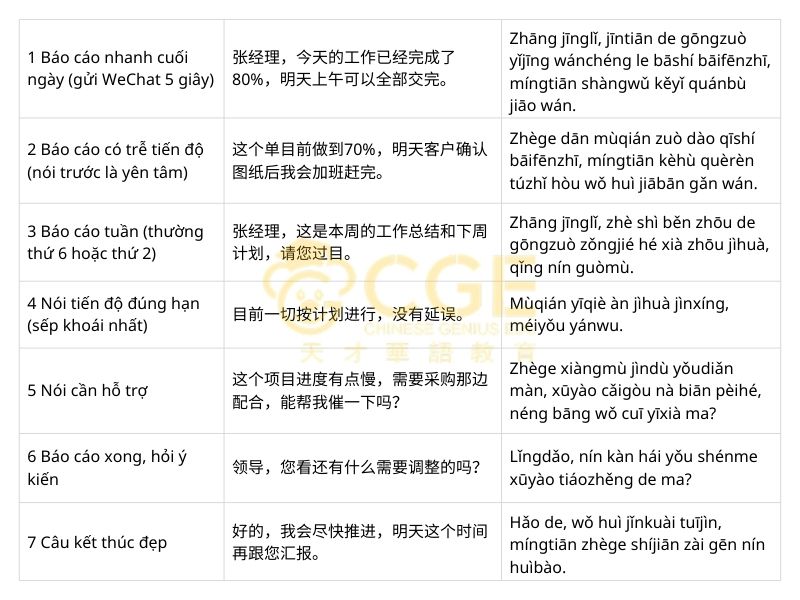 mẫu hội thoại Báo cáo tiến độ công việc (hàng ngày + hàng tuần)