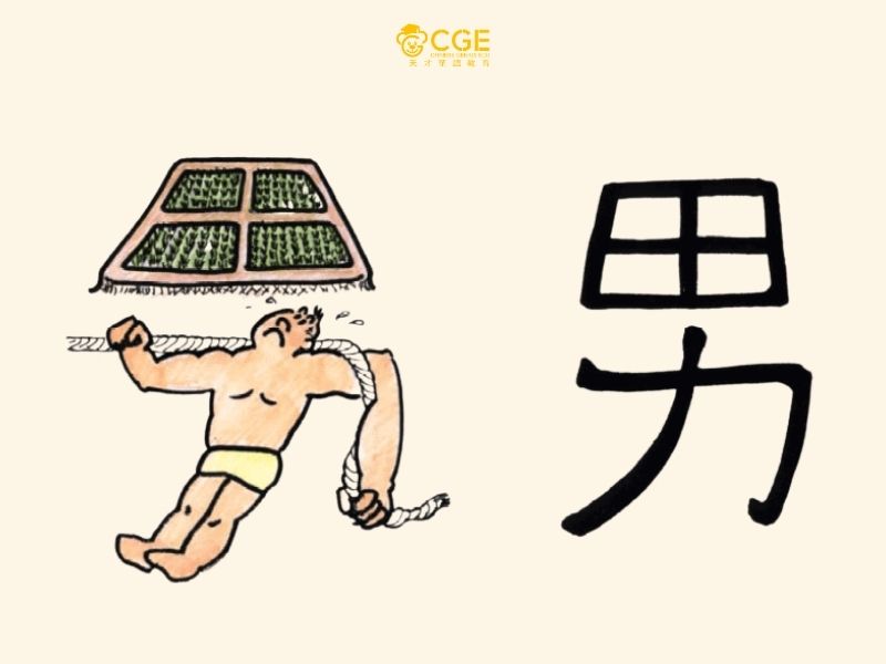 chiết tự chữ hán: chứ điền