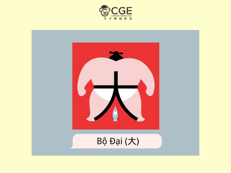 bộ đại trong tiếng trung 5