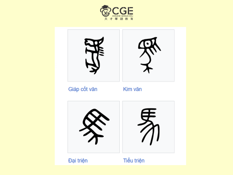 bộ mã trong tiếng trung 4
