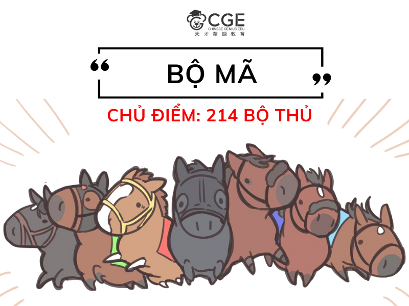 bộ mã trong tiếng trung 