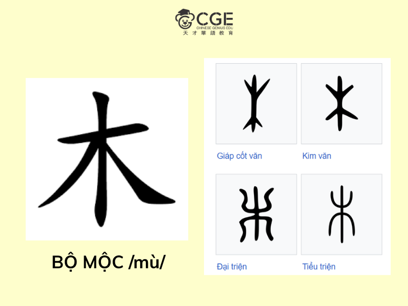 Bộ Mộc trong tiếng Trung 5