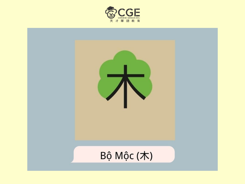 Bộ Mộc trong tiếng Trung 3