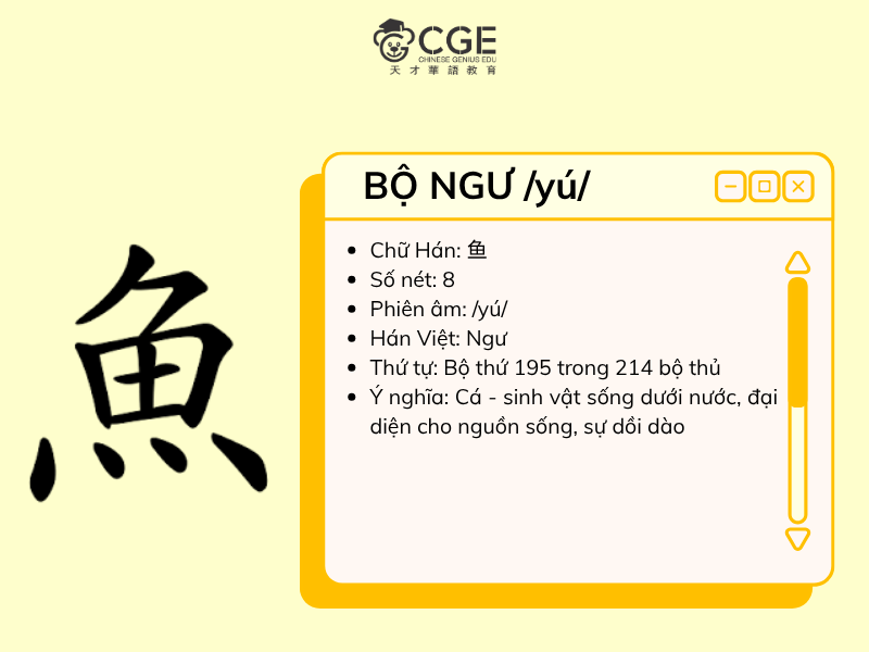bộ ngư trong tiếng trung 1