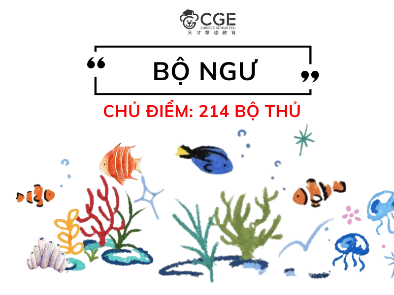 bộ ngư trong tiếng trung 