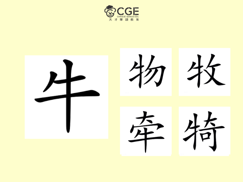bộ ngưu trong tiếng Trung 3