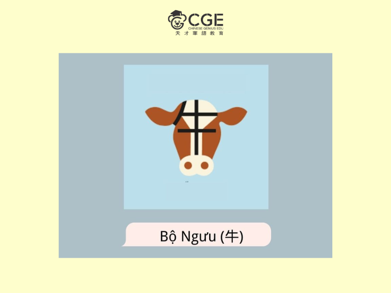 bộ ngưu trong tiếng Trung 5