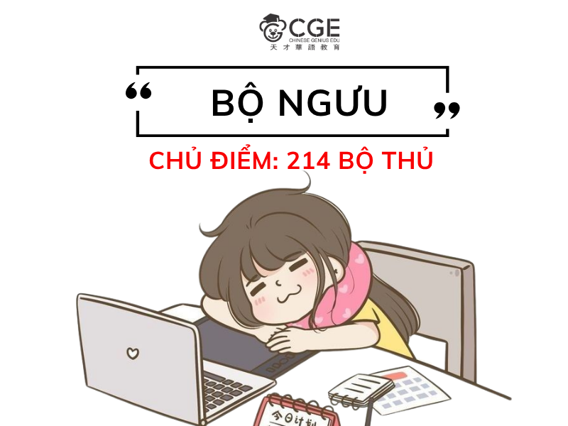 bộ ngưu trong tiếng Trung
