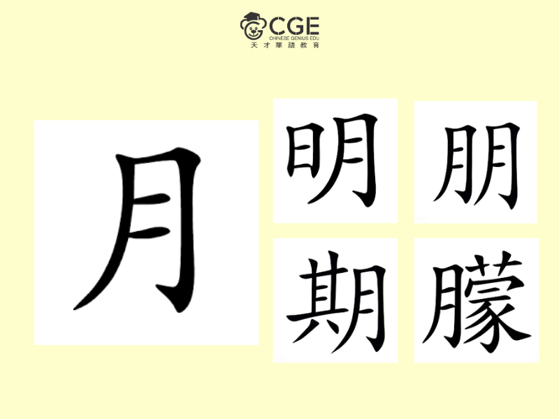 bộ nguyệt trong tiếng Trung 3