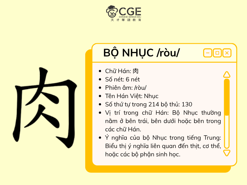 Bộ nhục trong tiếng Trung 1