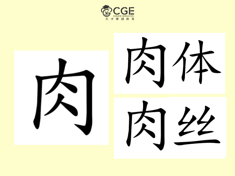 Bộ nhục trong tiếng Trung 3