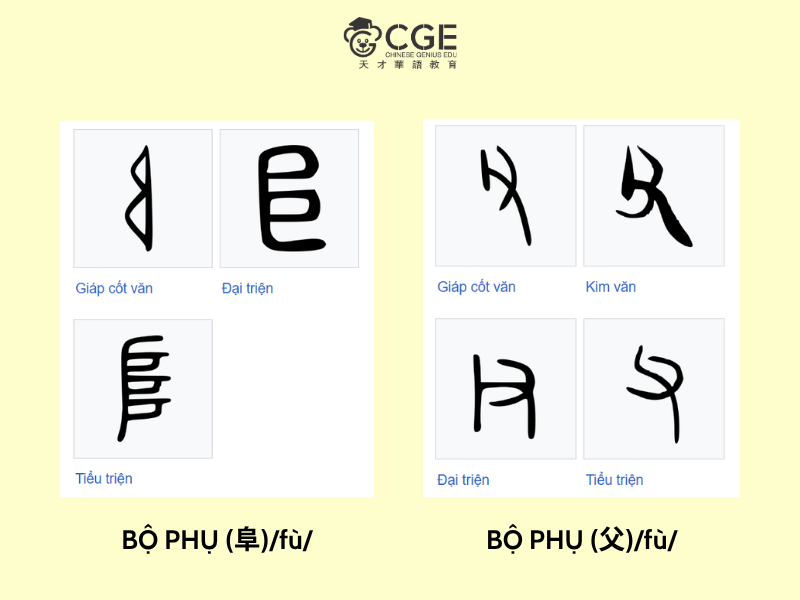 hai bộ phụ trong tiếng trung 8