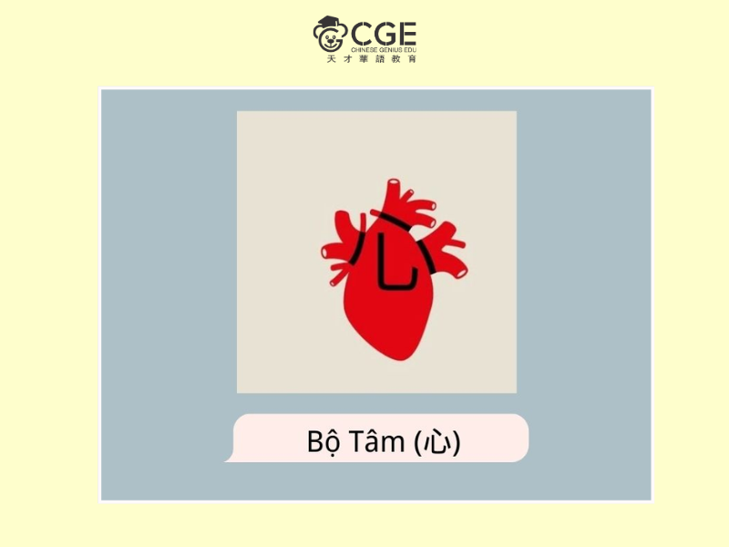bộ tâm trong tiếng Trung 6
