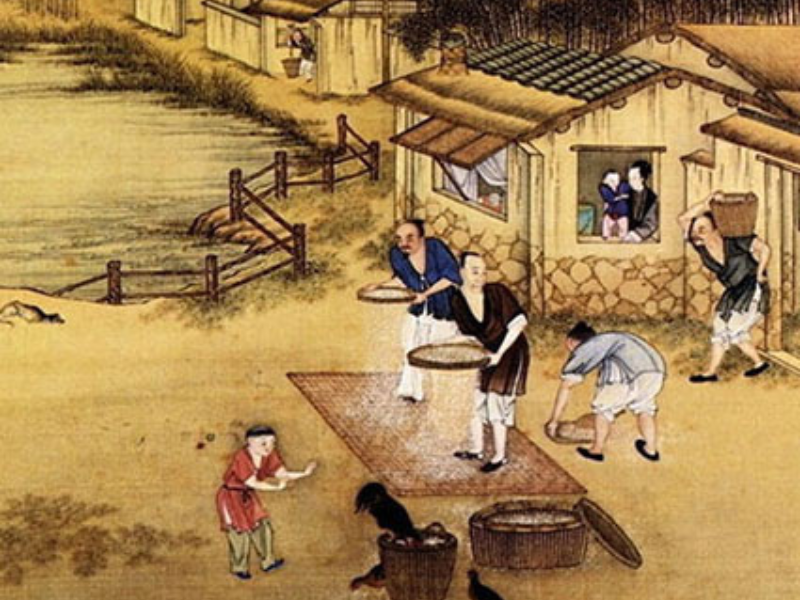 tiet-ha-chi-8