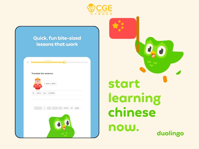Ứng dụng học tiếng Trung hiệu quả nhất 2025 - duolingo