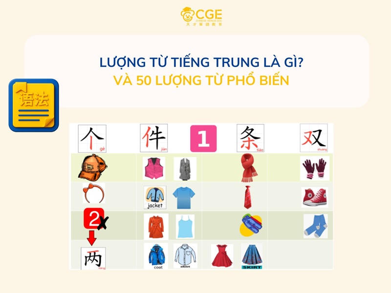 Lượng từ tiếng Trung (量词) là gì? Tổng hợp 50+ từ thông dụng