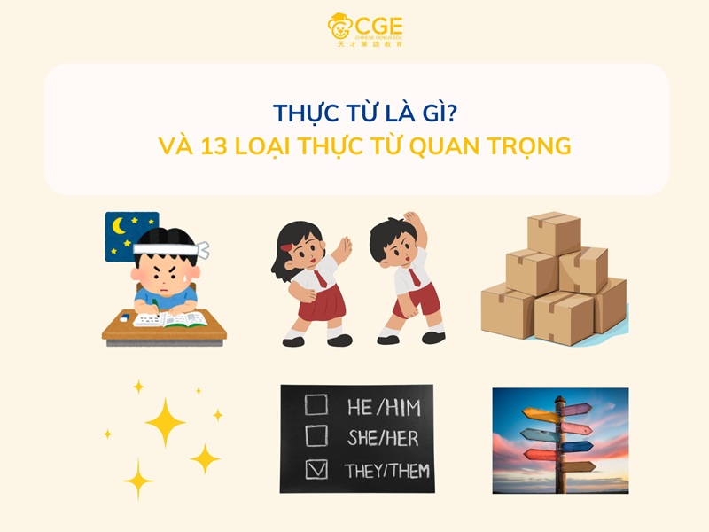 Thực từ là gì? 13 loại thực từ quan trọng trong tiếng Trung