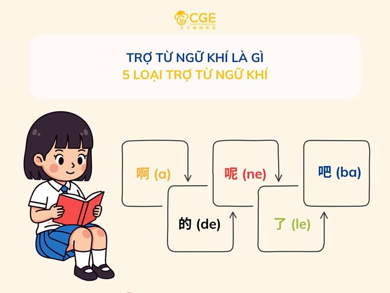 Trợ Từ Ngữ Khí Là Gì: 5 Loại Trợ Từ Ngữ Khí