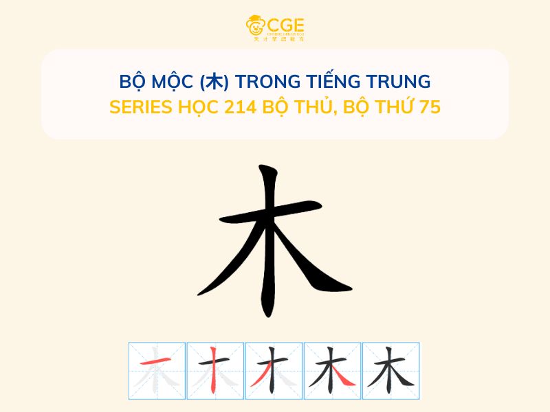 Bộ Mộc (木) Trong Tiếng Trung - Series học 214 bộ thủ, Bộ thứ 75