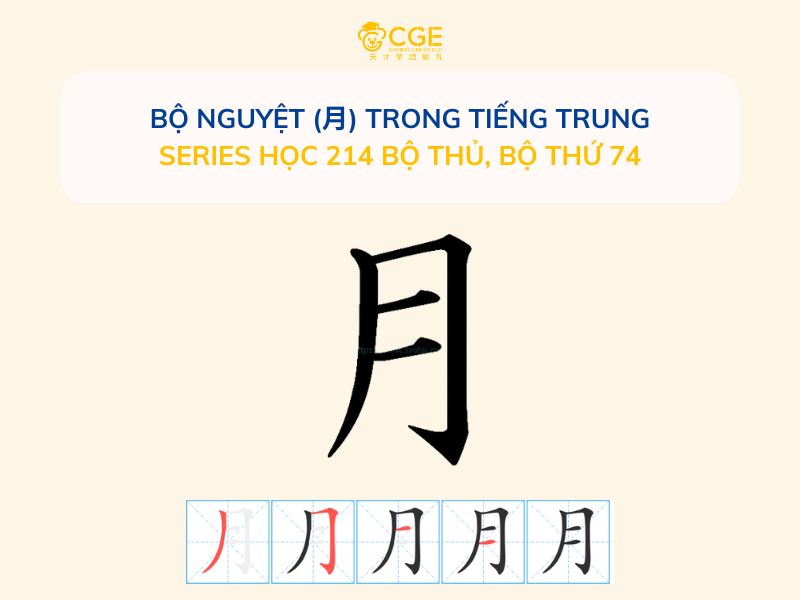 Bộ Nguyệt (月) trong tiếng Trung - Series học 214 bộ thủ, Bộ thứ 74
