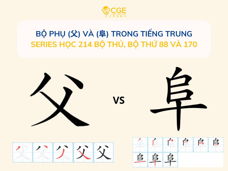 Bộ Phụ (父) và (阜) trong tiếng Trung - Series học 214 bộ thủ, Bộ thứ 88 và 170