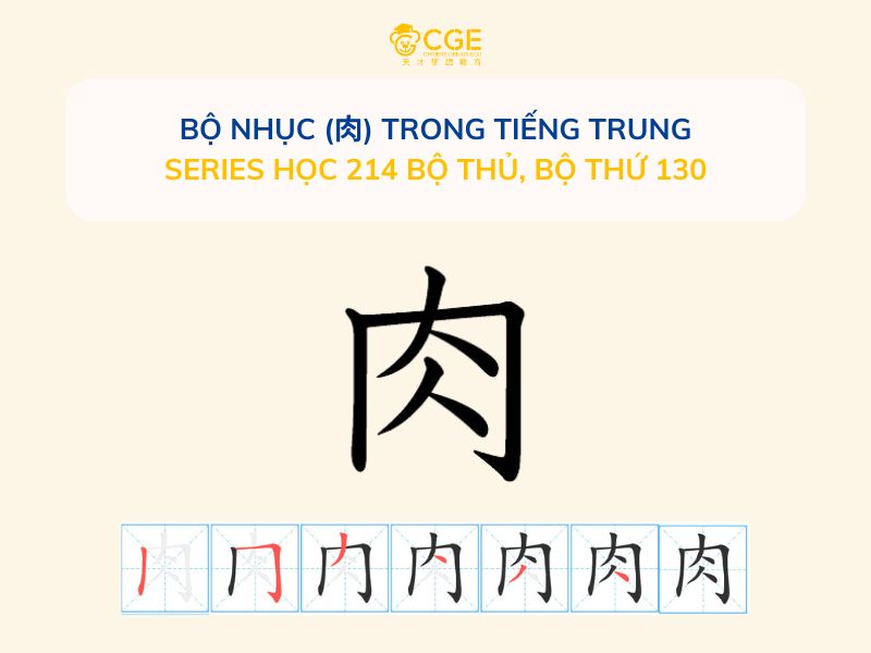 Bộ Nhục (肉) trong tiếng Trung - Series học 214 bộ thủ, Bộ thứ 130