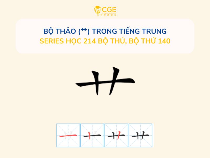 Bộ Thảo (艹) trong tiếng Trung - Series học 214 bộ thủ, Bộ thứ 140