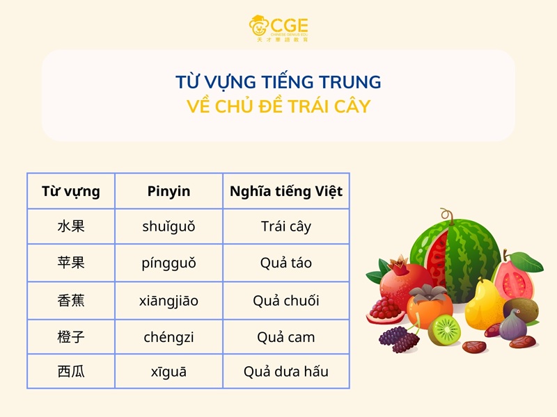 Từ vựng tiếng Trung về chủ đề trái cây